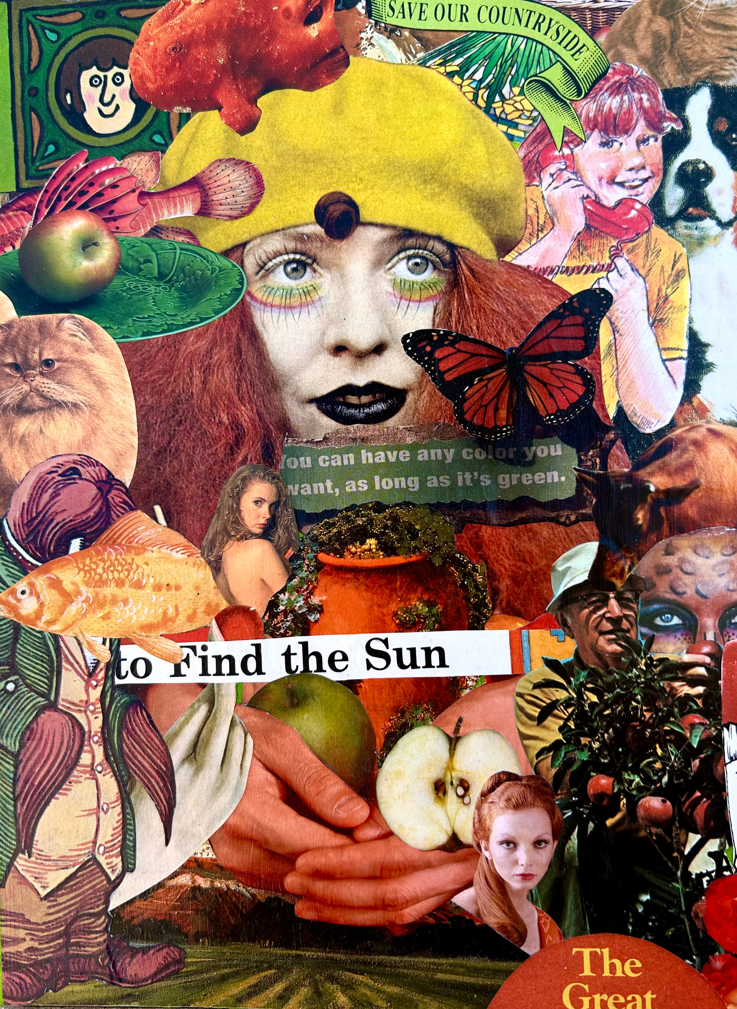 To Find the Sun Print